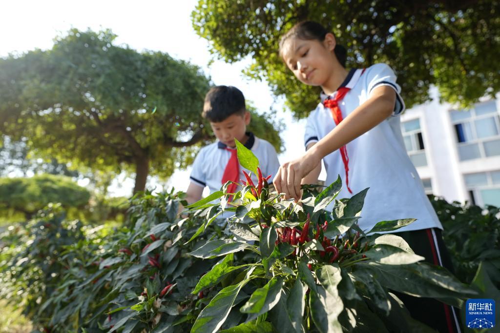 福星闪耀